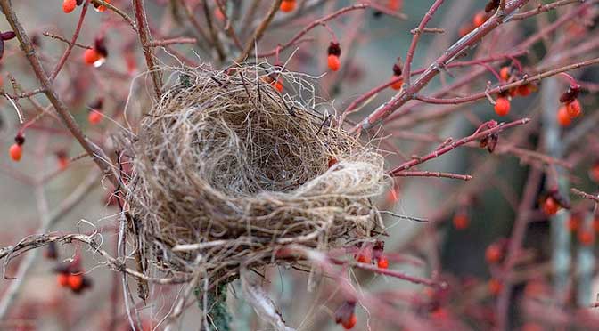 What They Never Tell You About Empty Nest Syndrome