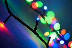 christmas lights photo