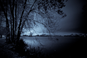 Dark winter day