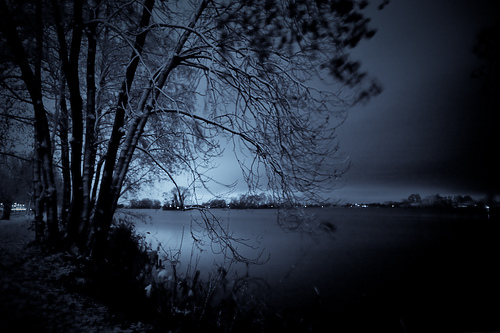 dark winter photo